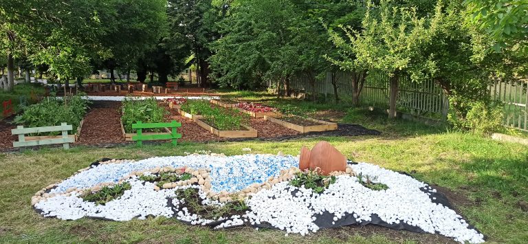 Изграждане на алпинеум в двора на 163 ОУ